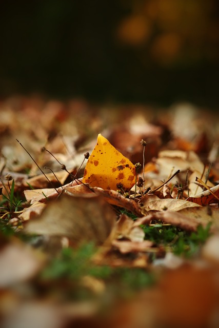 了深厚的共 了深厚的共