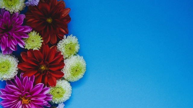 的阵容搭配 的阵容搭配