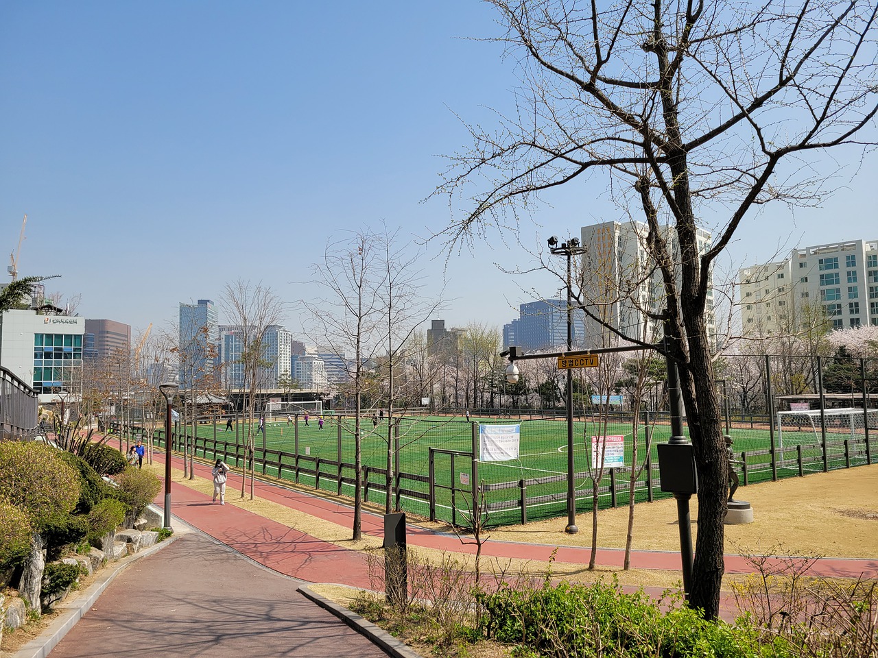 今年的赛事 今年的赛事