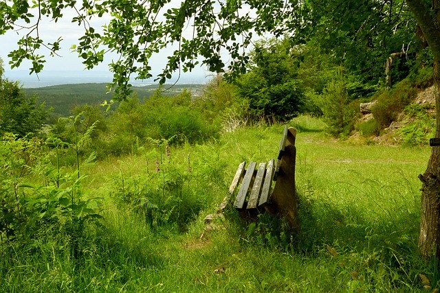 为球队强有 为球队强有