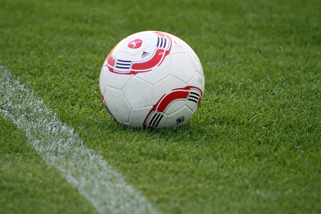 球隊管理層 球隊管理層