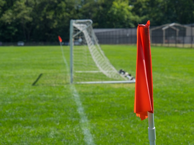 既能让你不 既能让你不