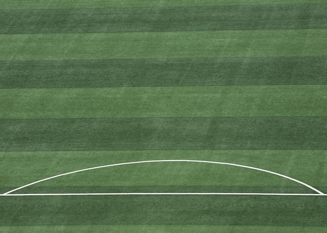 伤痛管理 伤痛管理